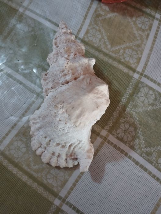 Аквариумный декор.