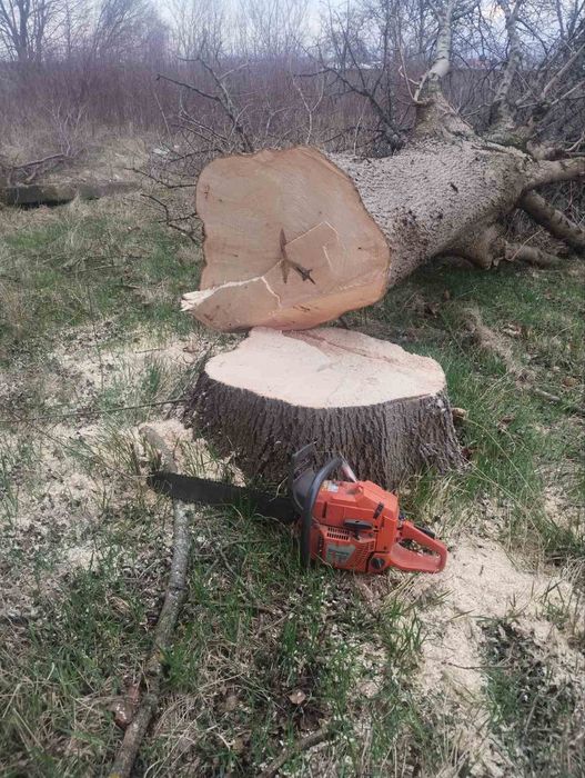 Почистване на запустели терени