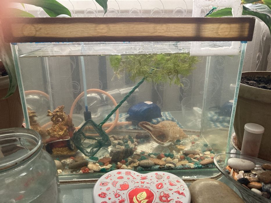 Продам или обмен аквариум