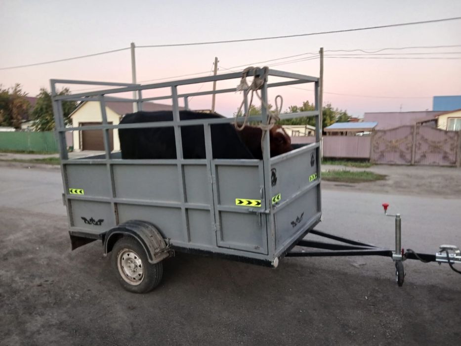 Скотовозка