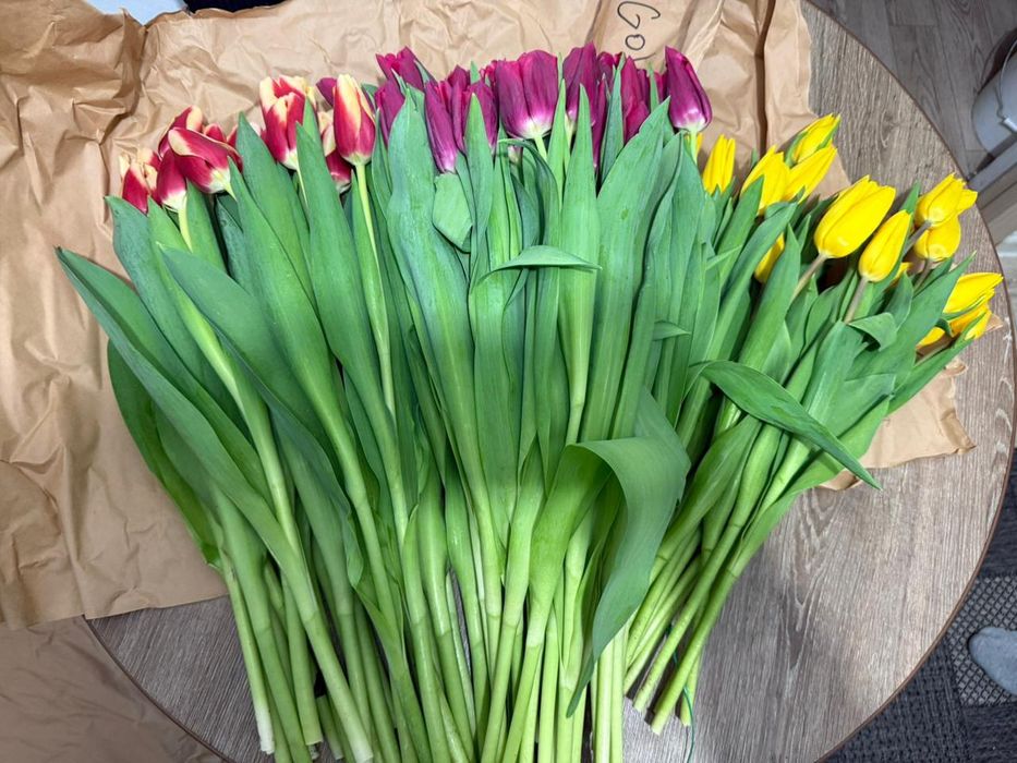Продам тюльпаны .