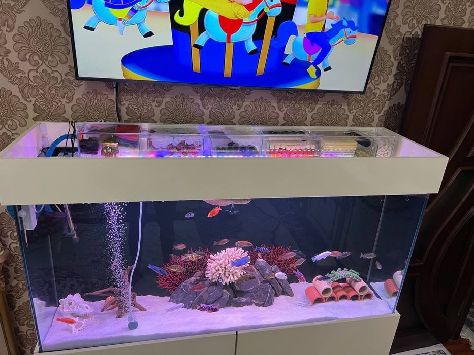 Аквариум сотилади