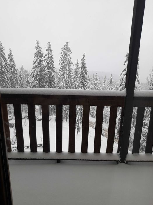 Продава се Едностаен апартамент в к.к. Пампорово - 35 кв.м за 943 €/кв.м - Снимка #8