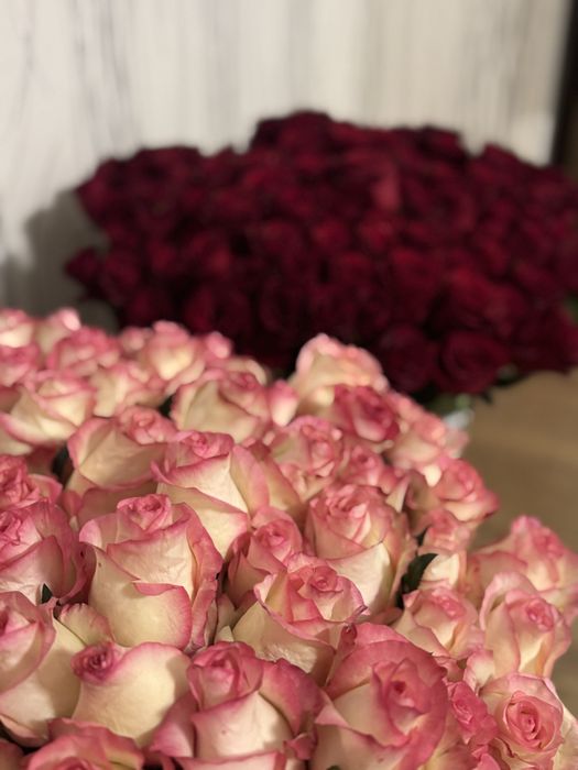 Розы по опт цене