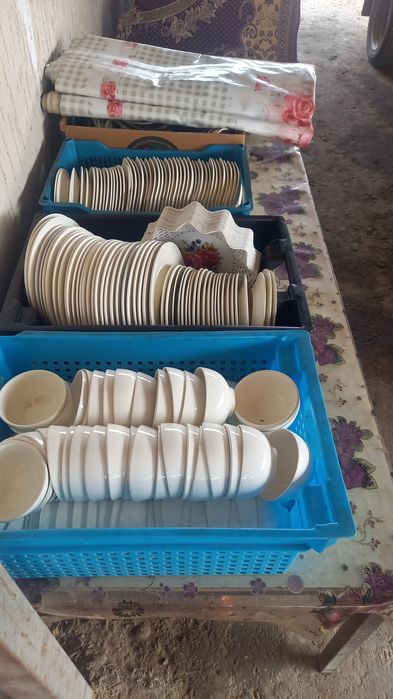 Аренда палатки,шатры