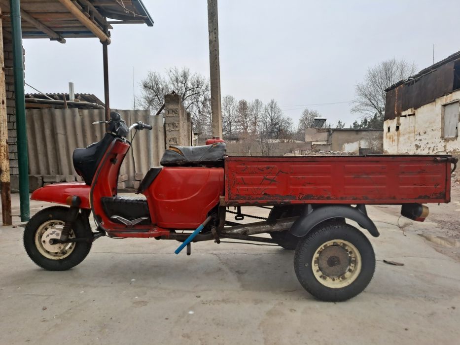 муравей холати яхщи