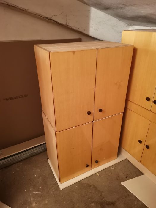 Масивна секция от птичи явор.