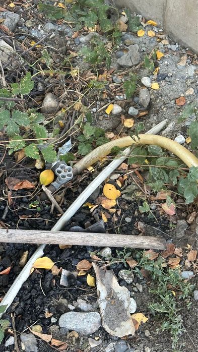 Дачный массив Текели