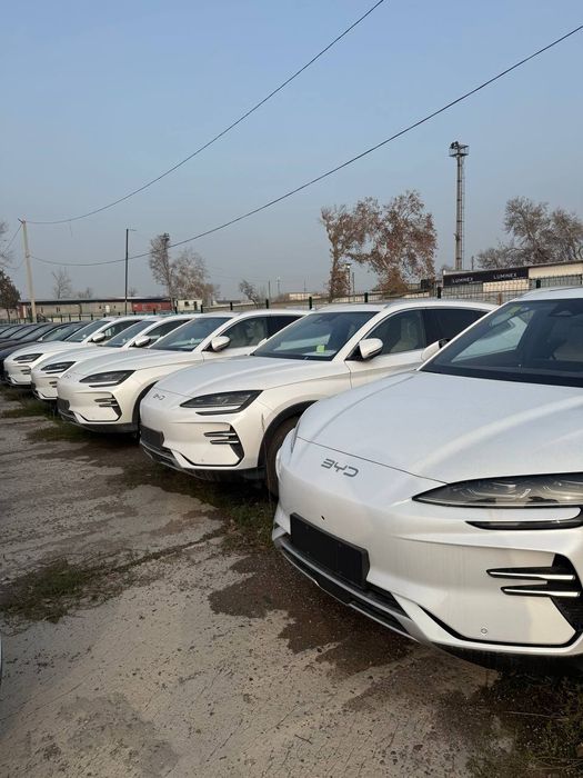 BYD chepion - 2025 Toshkentda tayyor