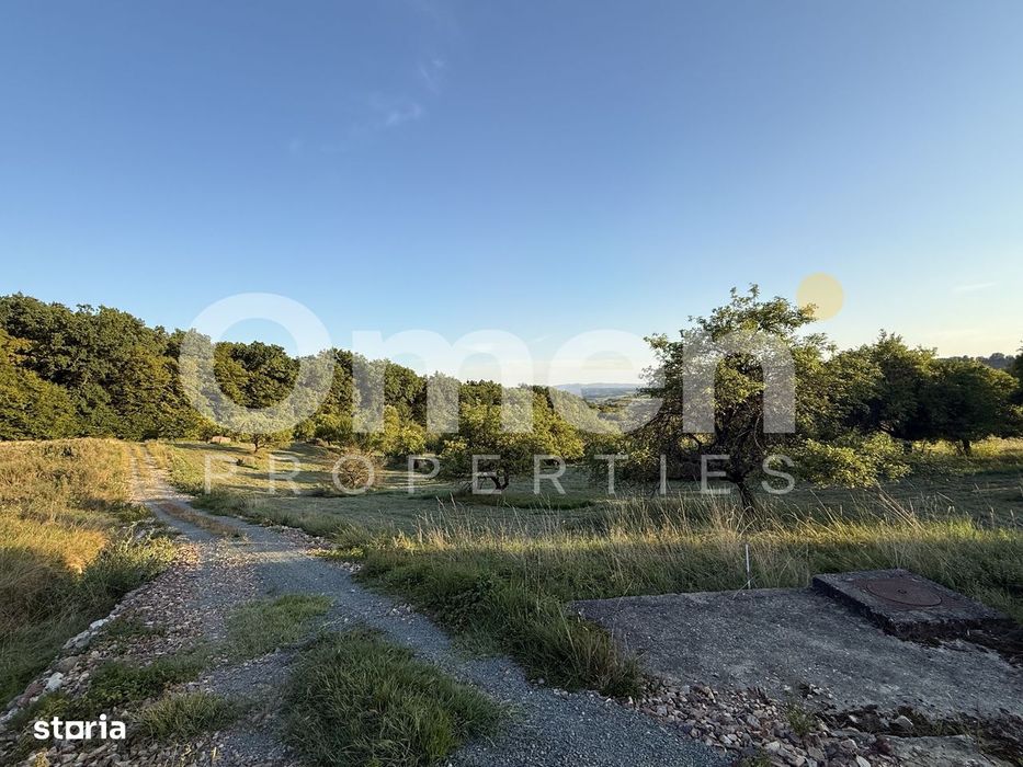 Teren intravilan de vânzare 7.000 mp – Groși, spre Dumbrăvița