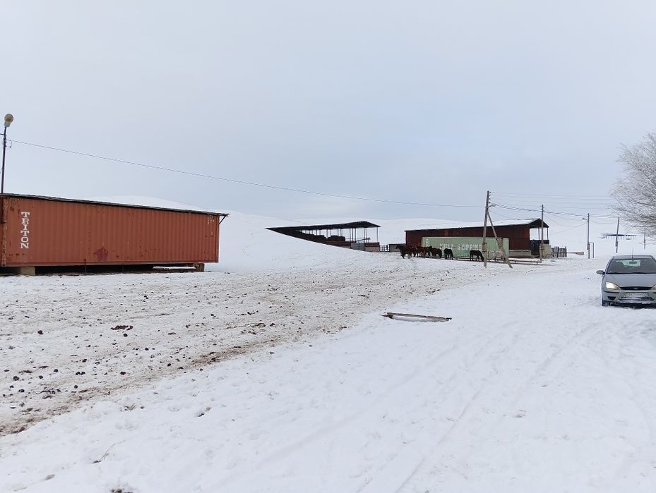 Продам фазенду большую