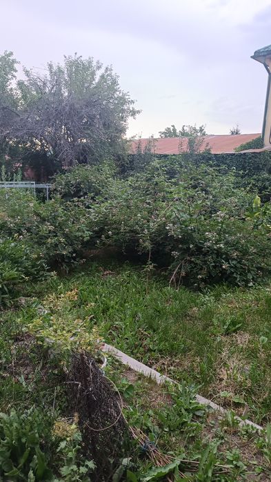 Срочно продам дом!