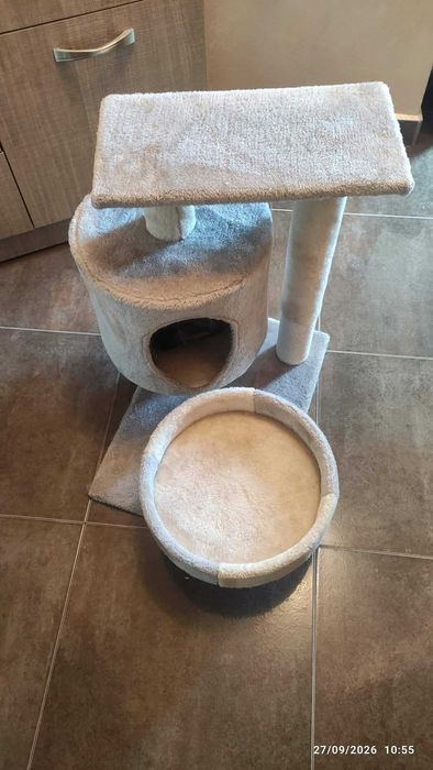Котешка катерушка