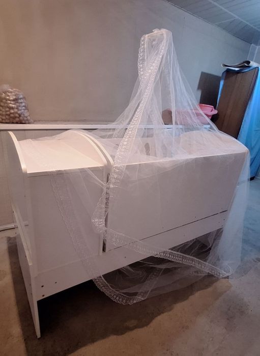 Kamot pasudalari bn sotiladi
