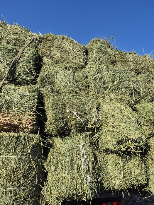 Продам сено, люцерно