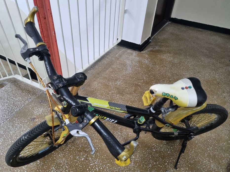 Bicicleta Dswzbike, frame 16 inch, roti 20 inch