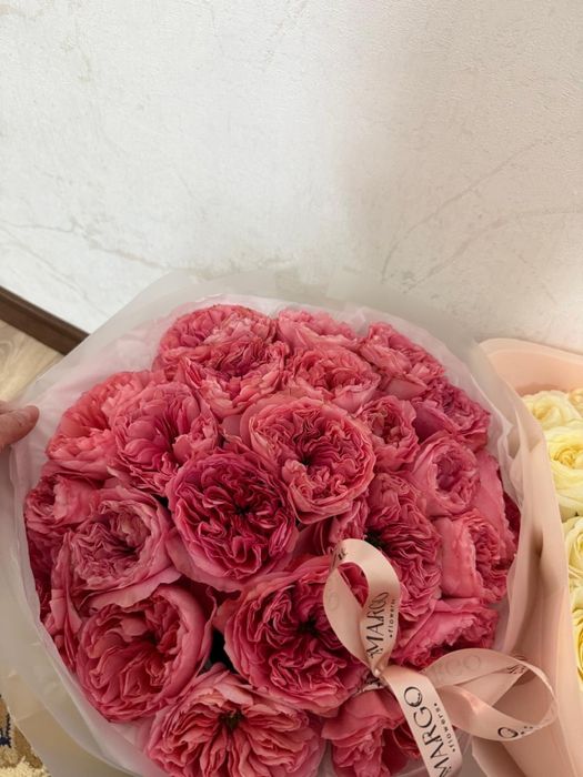 Пионовидные розы