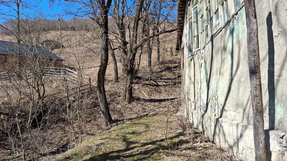 Vand teren dambavocioara 1990 mp