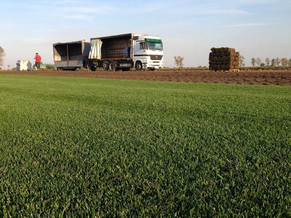 Soluții Verzi pentru Grădină – Gazon Premium cu Montaj