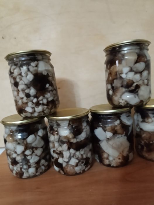 Продам грибы.валуи