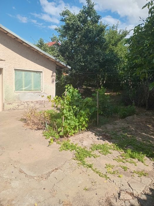 Vând teren intravilan şi casă bătrânească