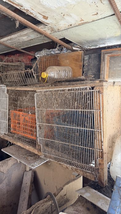 Клетки для кролов