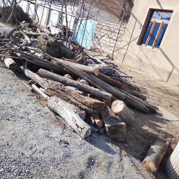 Утин сотаман кунда