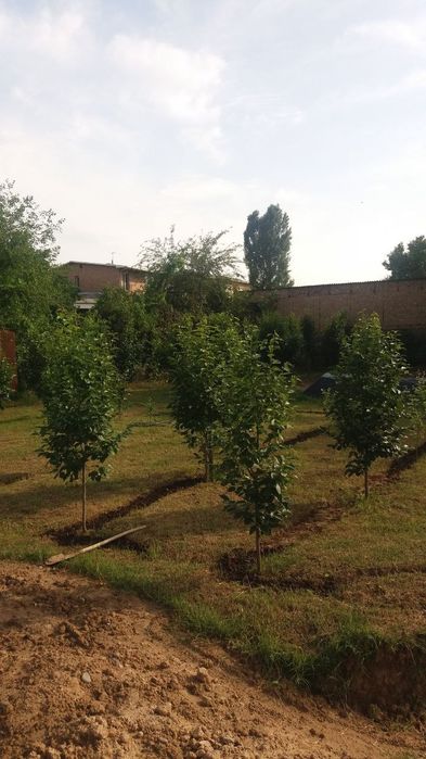 Продается участок 12 соток