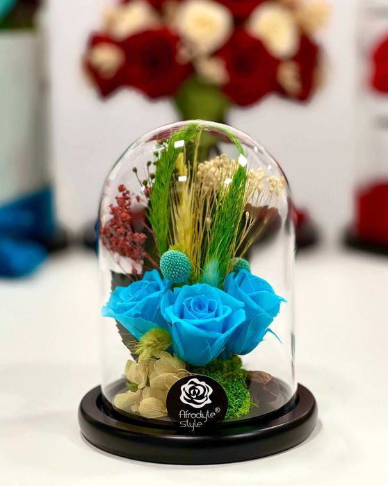 Trandafiri criogenati albastri