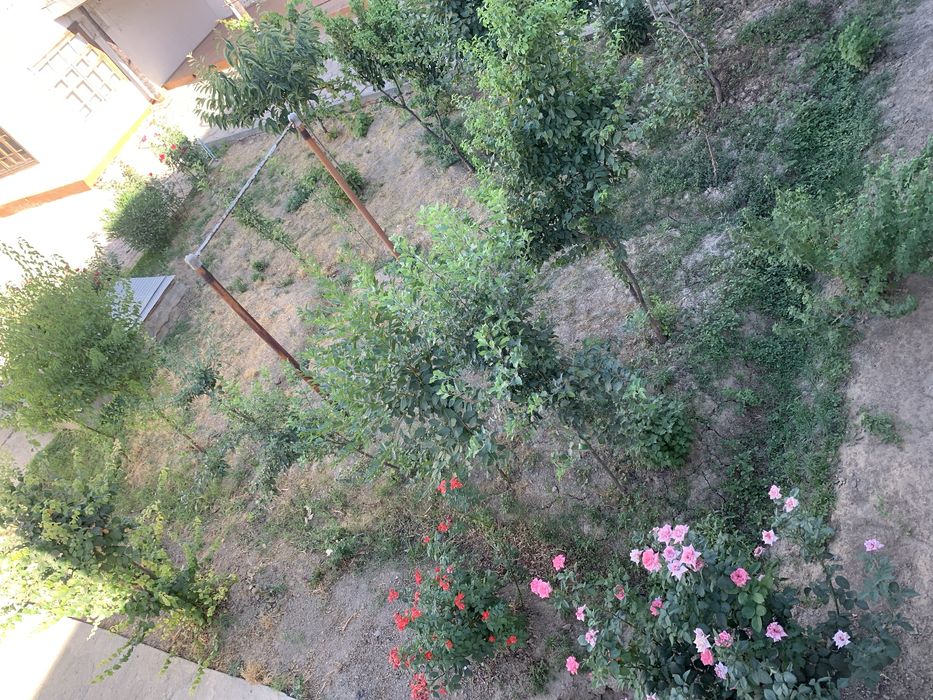 Карши тумани Бешкент Карши тум Хокимият оркасидан