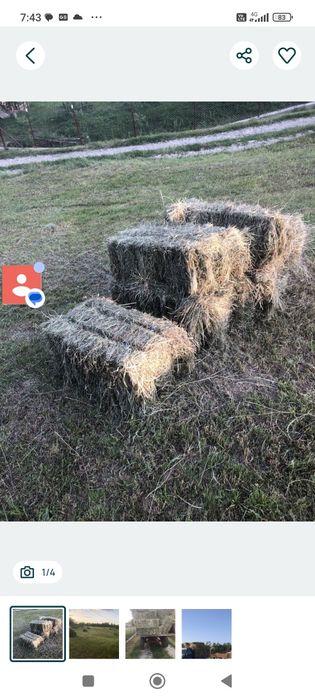 Vând baloți de fan , ținuți la adăpost ,uscați