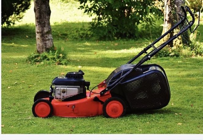 Почистване и поддръжка на зелени площи