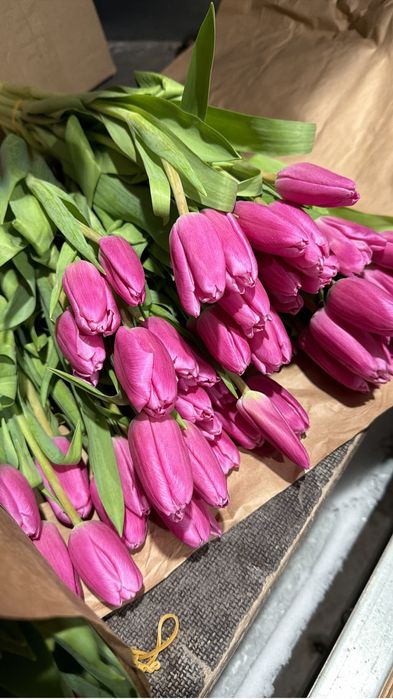 Тюльпаны предзаказ на 8е марта