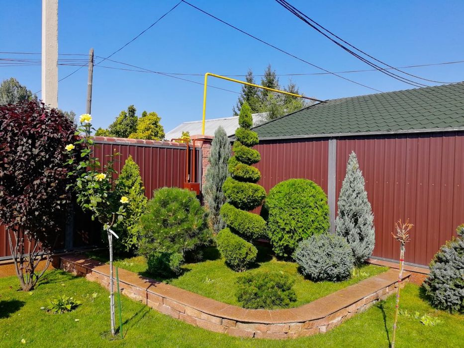 Газон под ключ сочный зеленый газон