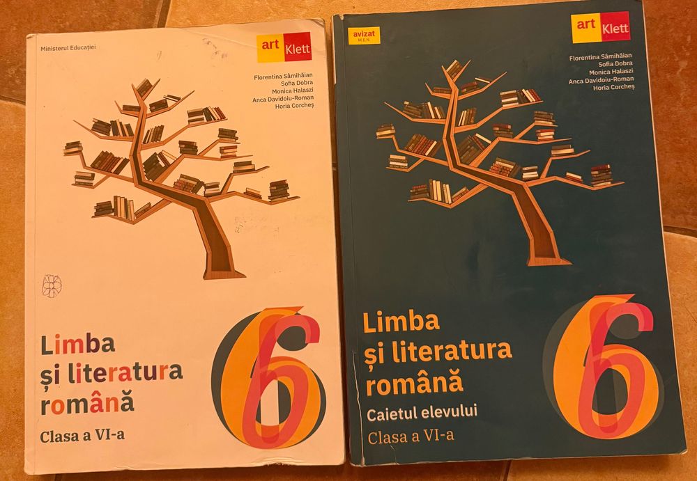 Manuale clasa a V- a si clasa a VI-a