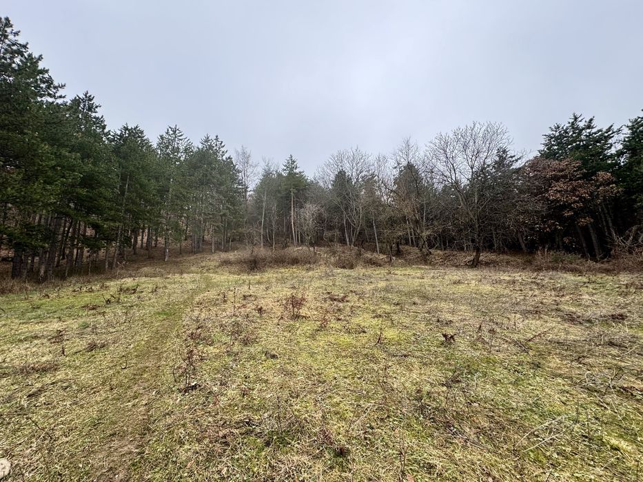 Продава се Парцел в с. Тополово, Област Пловдив - 1280 кв.м за 43 €/кв.м - Снимка #2