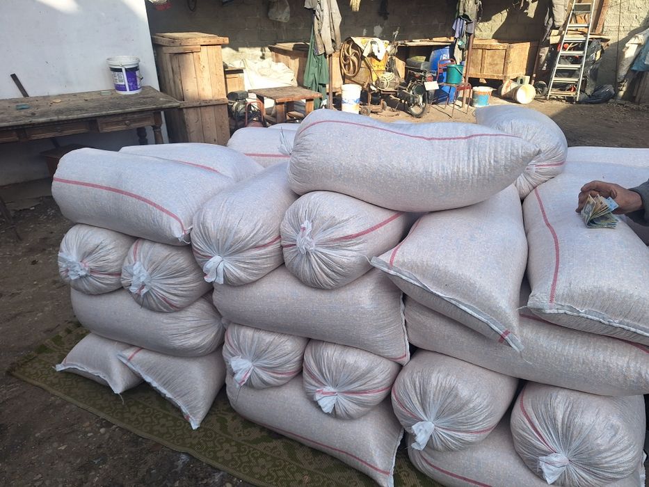 Porumb Recoltă 2025 Ambalat în saci de 40 kg Transport gratuit 1,25 kg