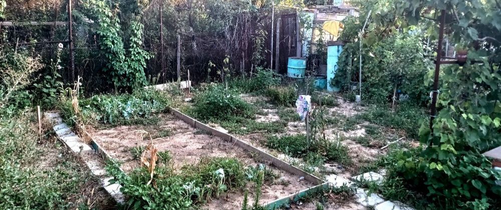 Огород. 2 сотки. Родничок 1.