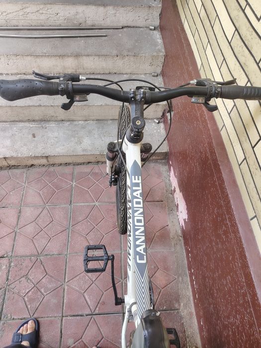 Velosiped haydalgan