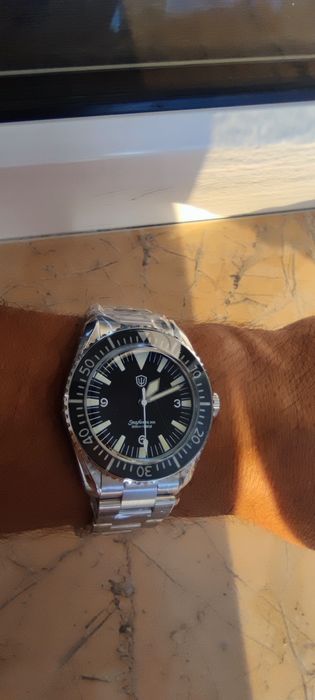 Citizen Casio Seiko  Steeldive Adiessdive San Martin Pagani Design