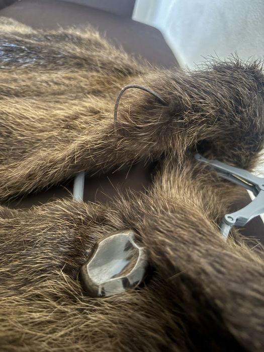 Haina de blana naturala fara nici un defect