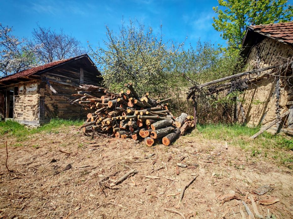Vând lemn de PRUN, nemarcat, tăiat la 1 m, acces mașină  4x4