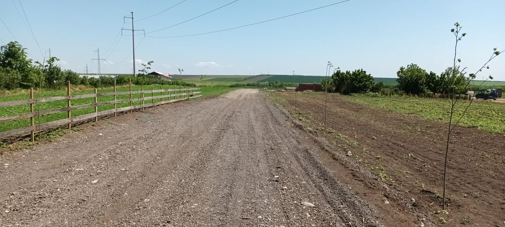 Teren casa tg frumos