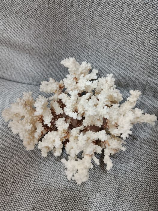 Коралл искусственный. Украшение