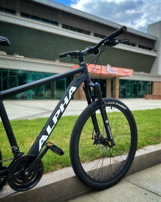 ALPHA Mustang 3MD - 2024