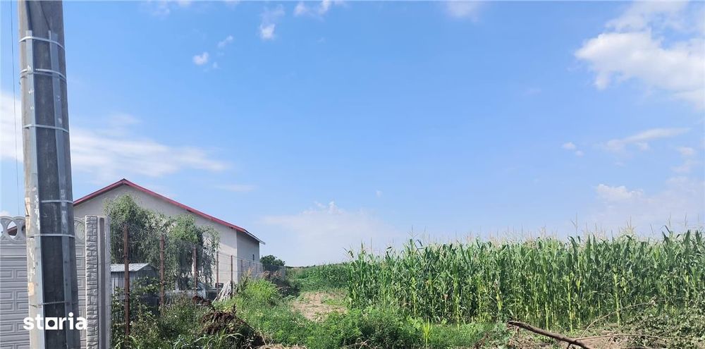 Teren intravilan de vanzare Buturugeni,,20 km distanta de Bucuresti