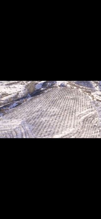 Продам участок 3га