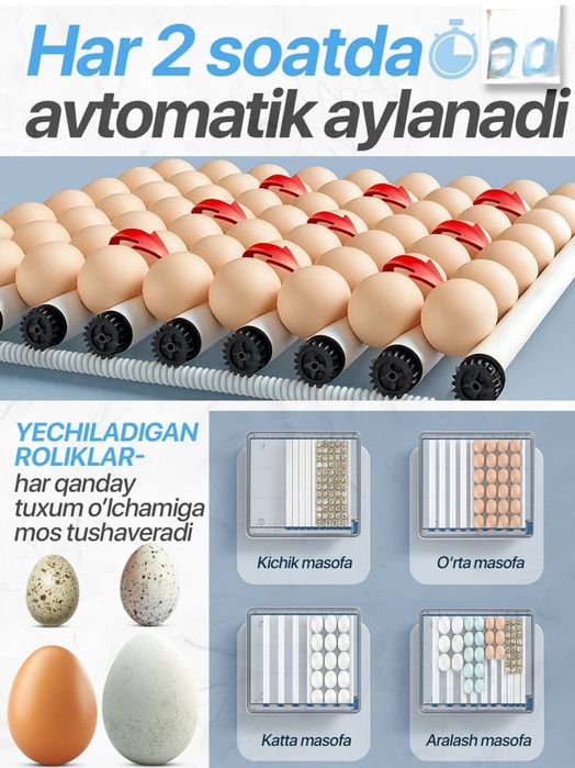 Avtomat inkubator