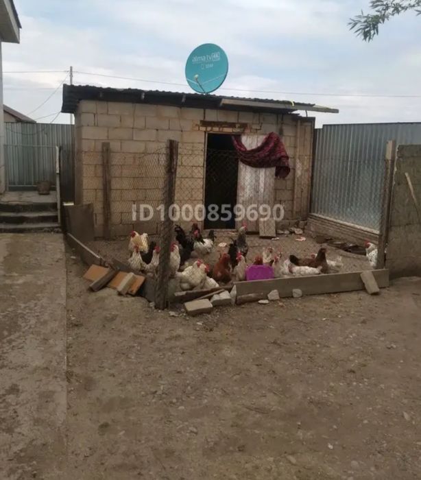 Продам частный дом