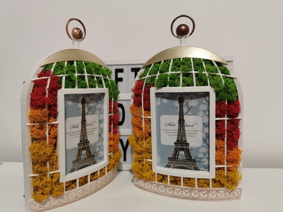 Rama foto colivie cu licheni stabilizati